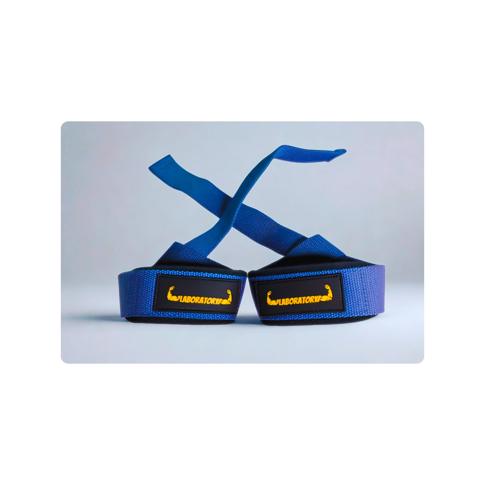COBALT BLUE LABORATORY LIFTING STRAP
