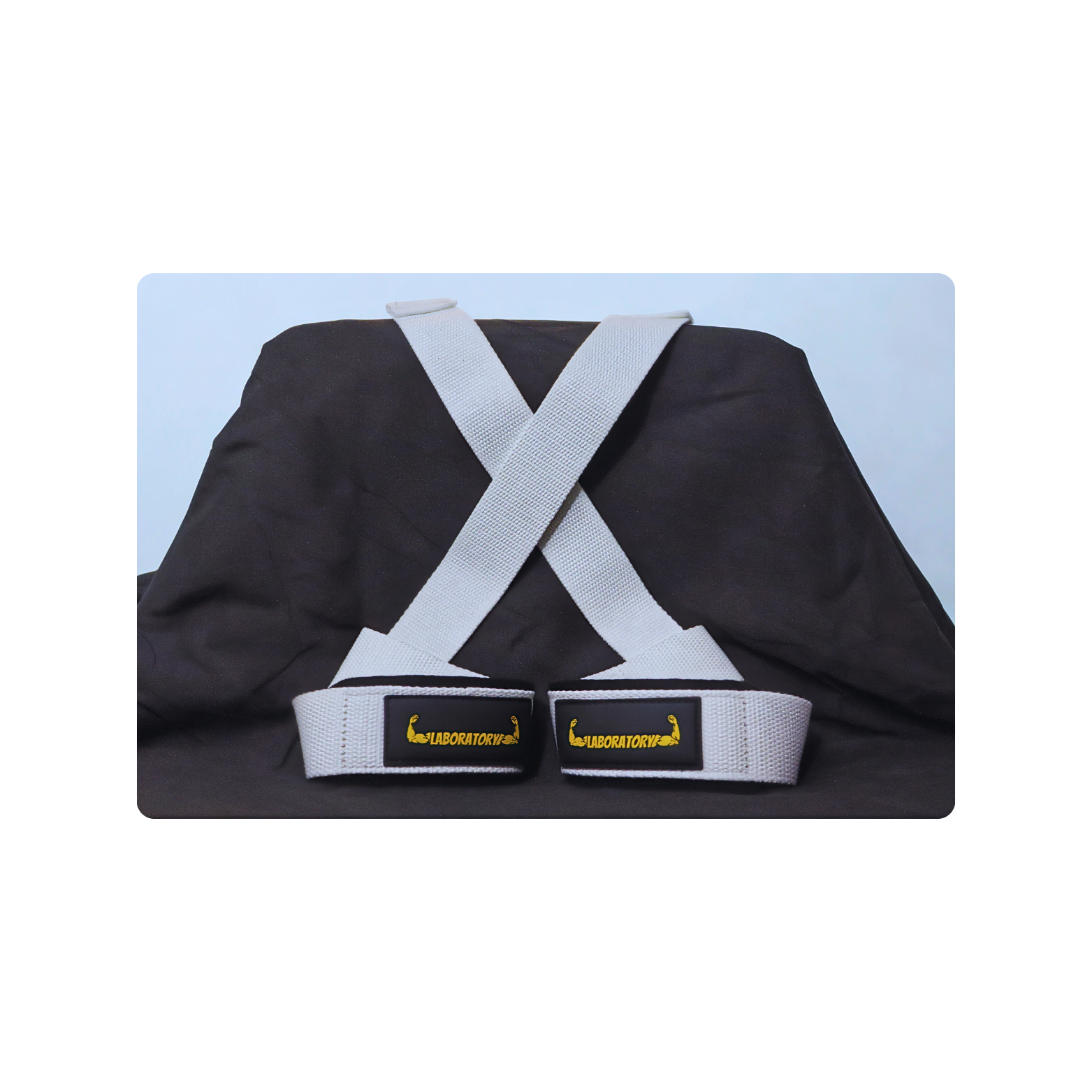 WHITE LABORATORY LIFTING STRAPS